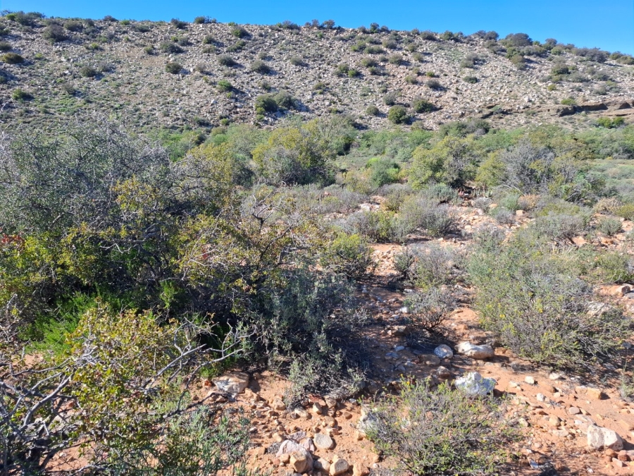  Bedroom Property for Sale in Ladismith Rural Western Cape